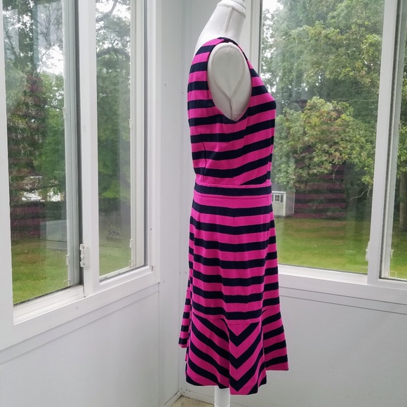 💼 Banana Republic Fuchsia & Navy Sleeveless Flounce Dress - Picture 4 of 8